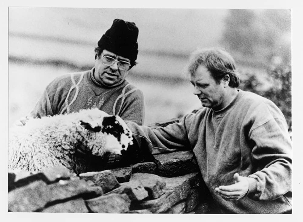 レイニング・ストーンズの画像