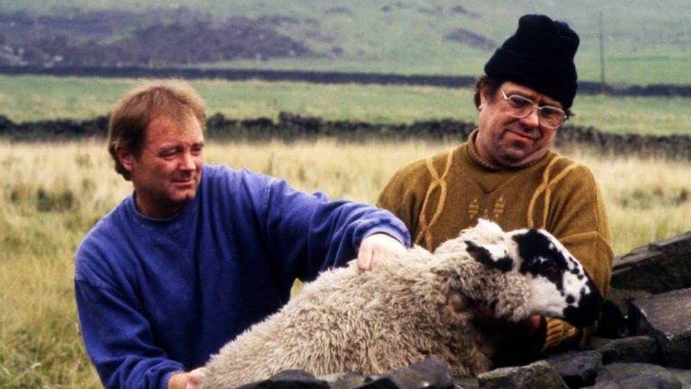 レイニング・ストーンズの画像