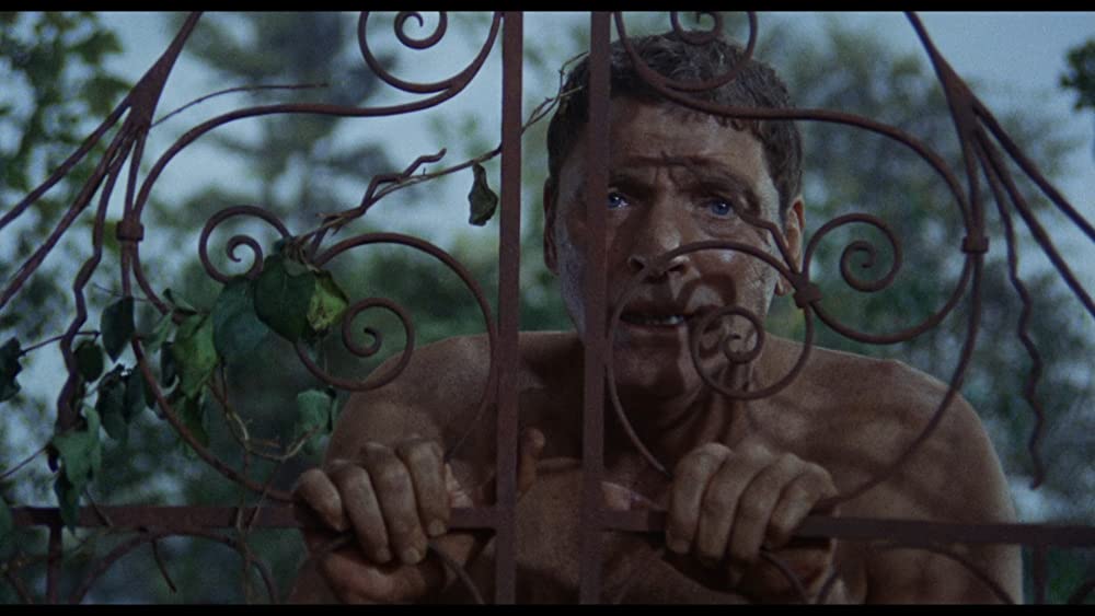 「泳ぐひと」バート・ランカスターの画像