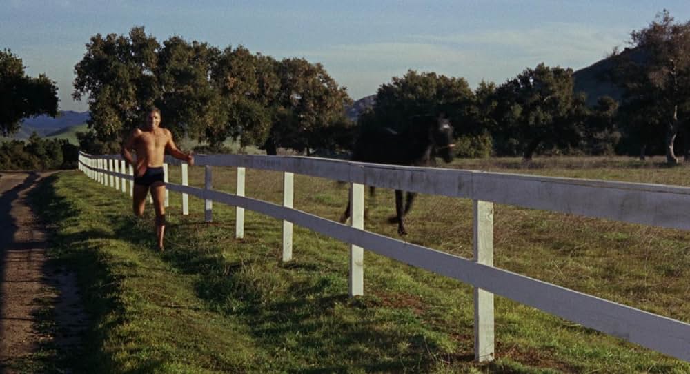 泳ぐひとの画像