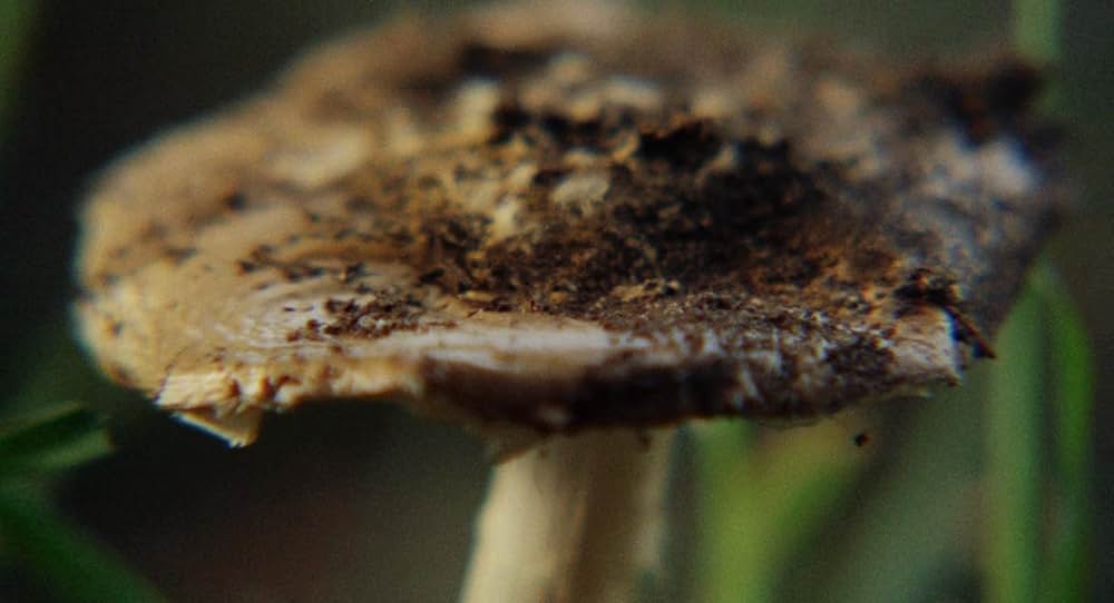 泳ぐひとの画像