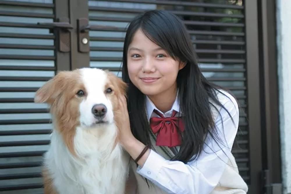 いぬのえいがの画像