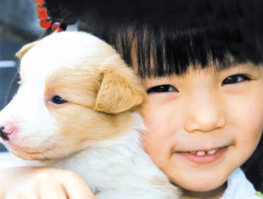 いぬのえいがの画像