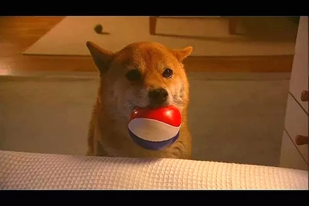 いぬのえいがの画像