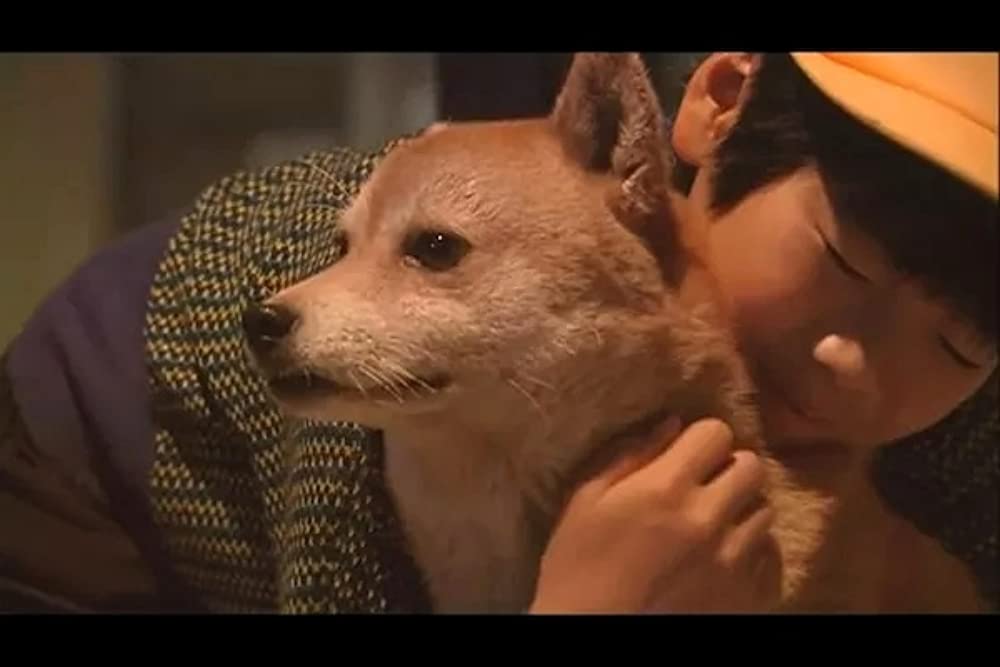 いぬのえいがの画像