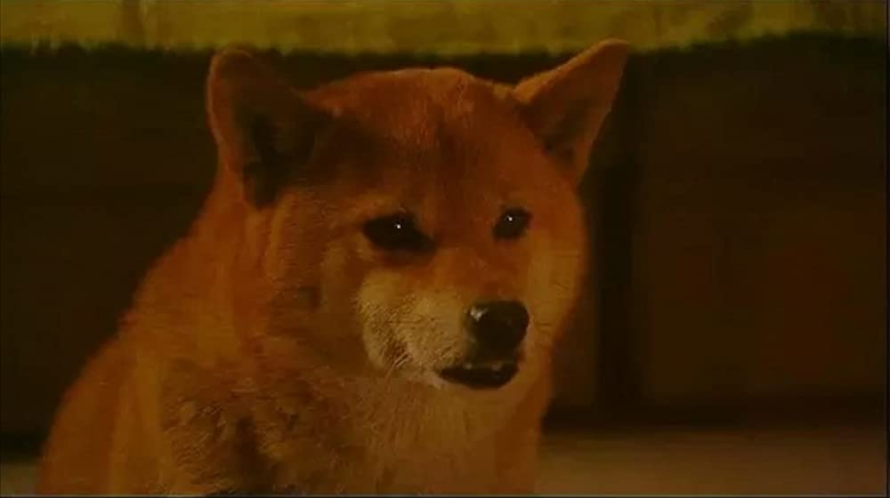 いぬのえいがの画像