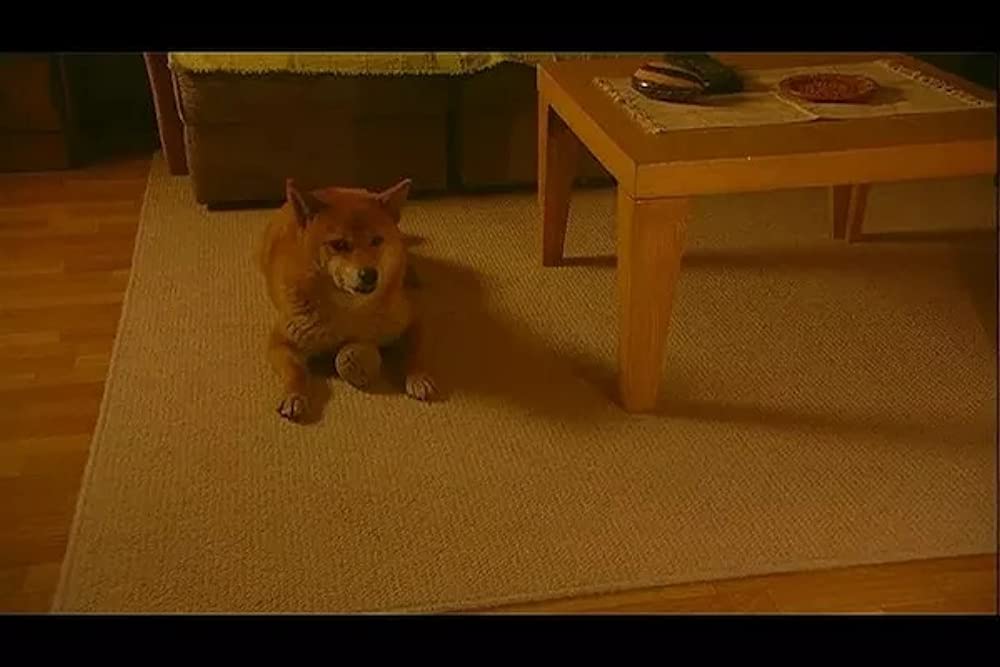 いぬのえいがの画像