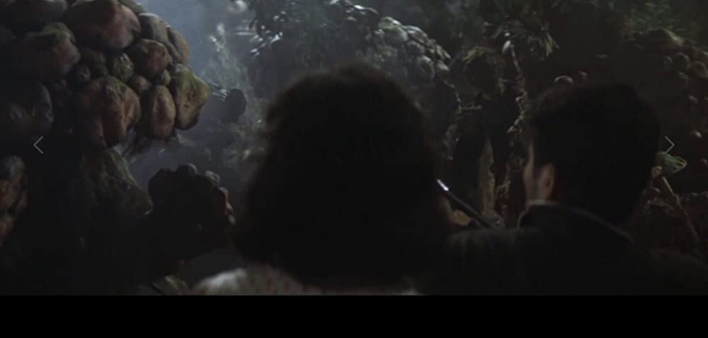 マタンゴの画像