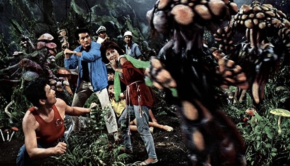 マタンゴの画像