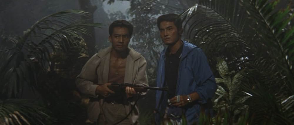 マタンゴの画像