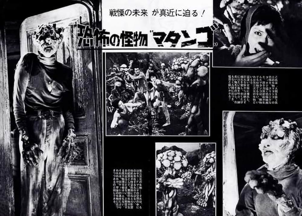 マタンゴの画像