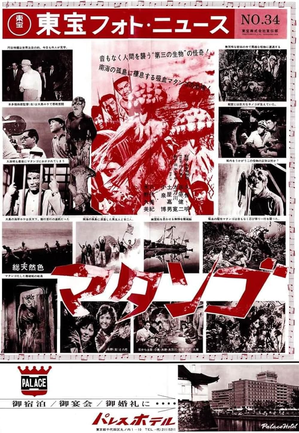 マタンゴの画像