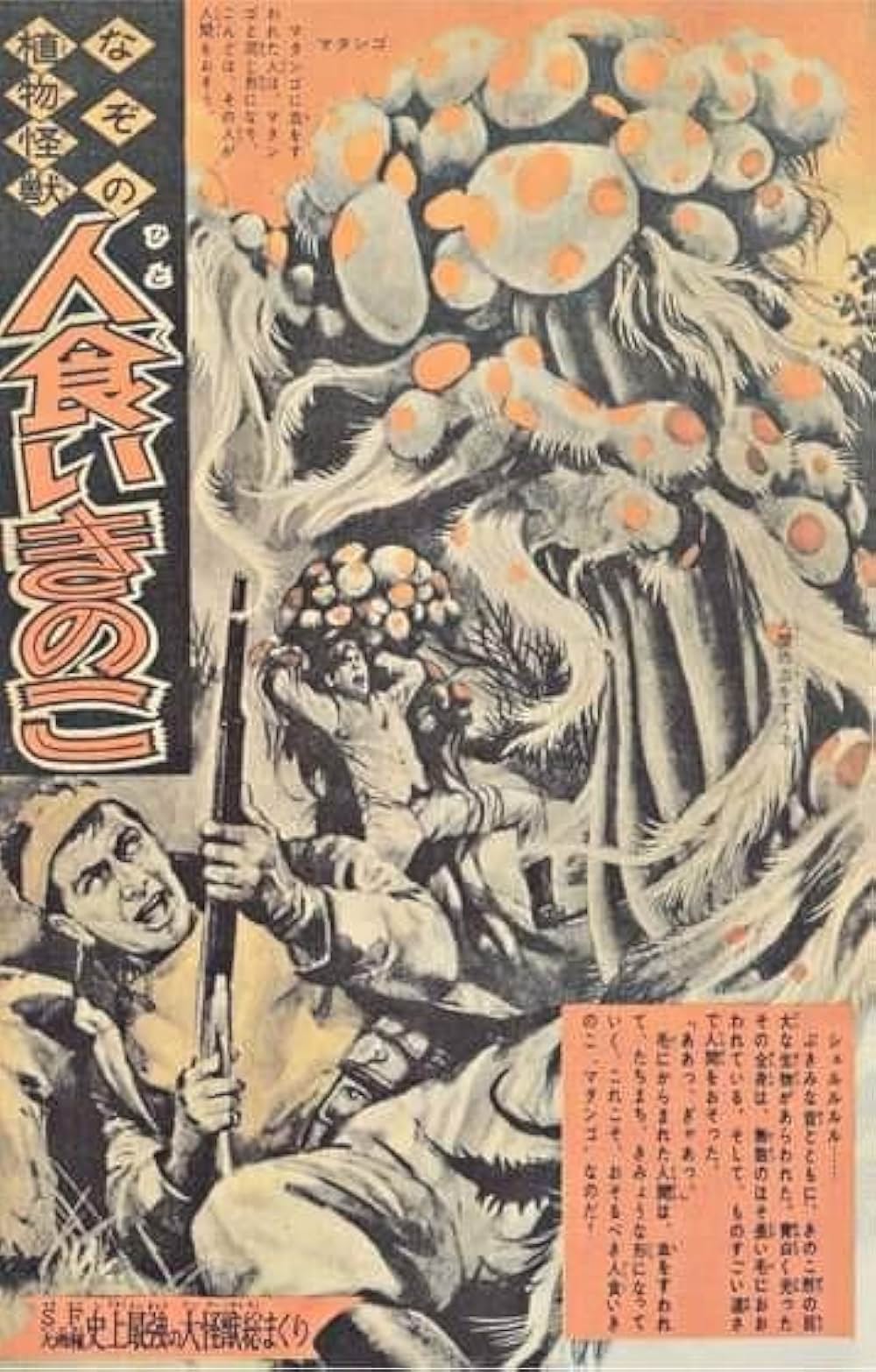 マタンゴの画像