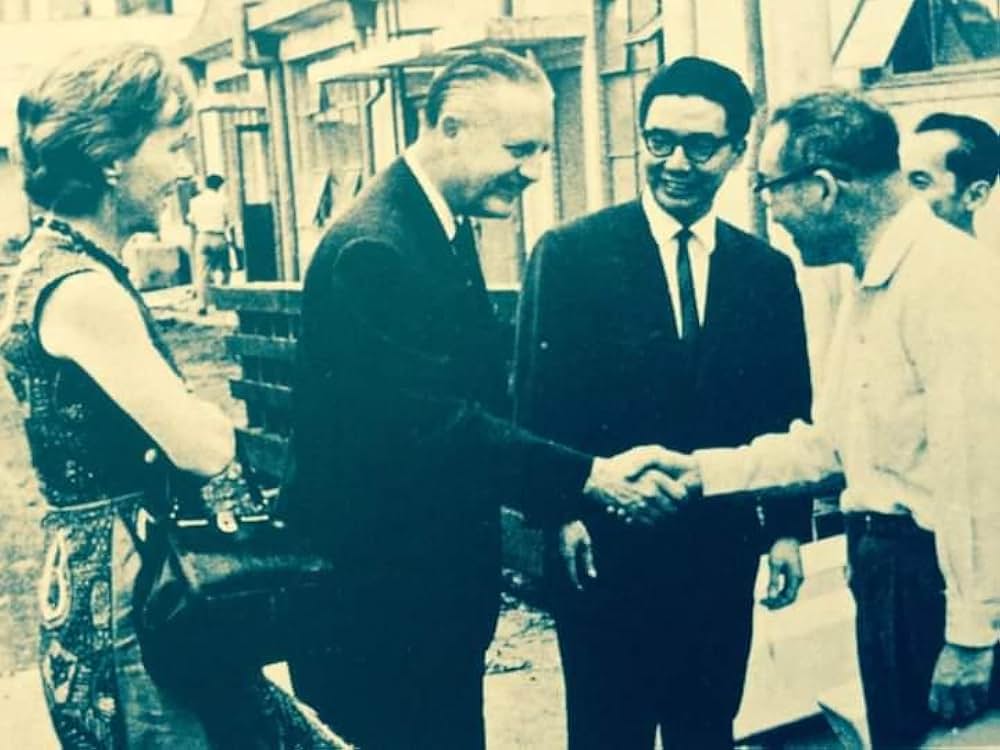 マタンゴの画像