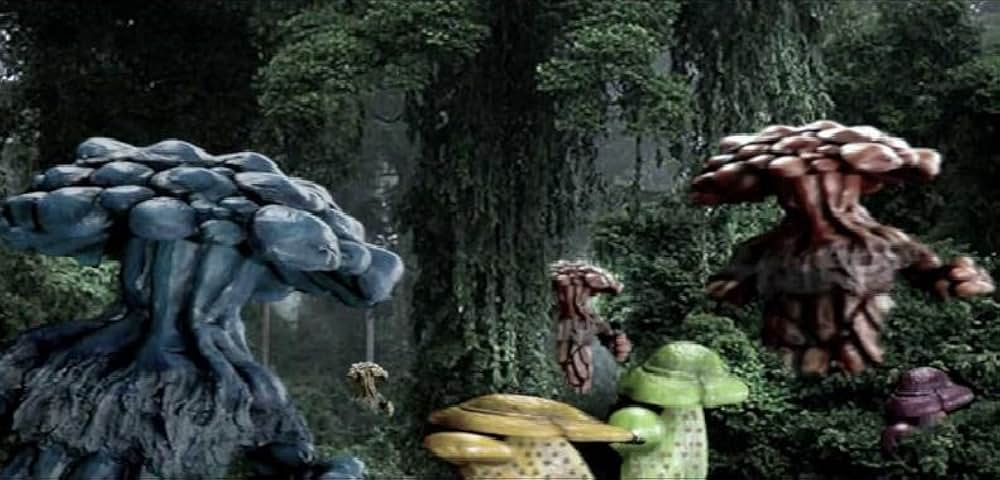 マタンゴの画像