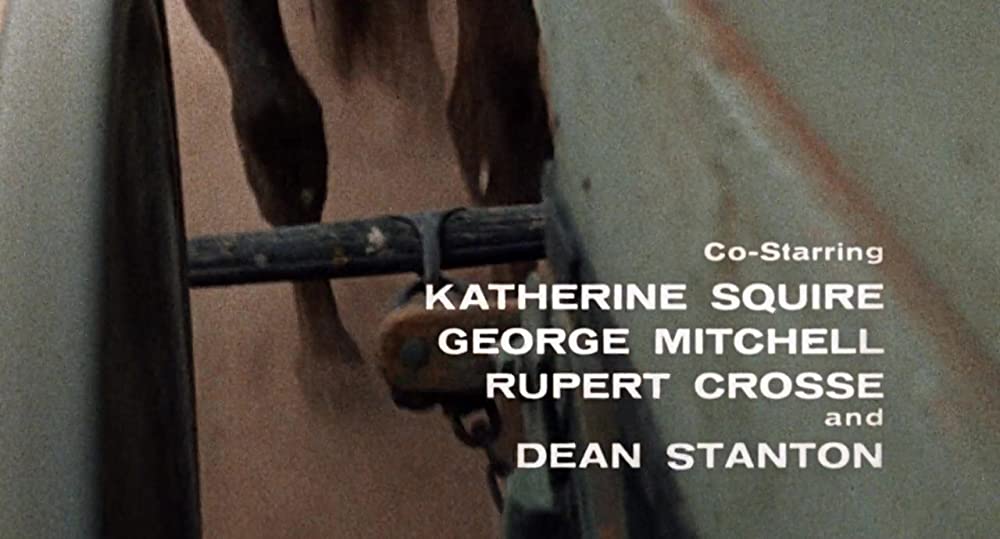 旋風の中に馬を進めろの画像