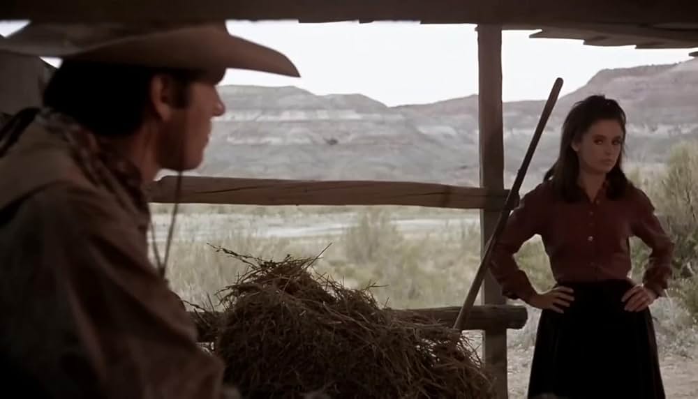 旋風の中に馬を進めろの画像