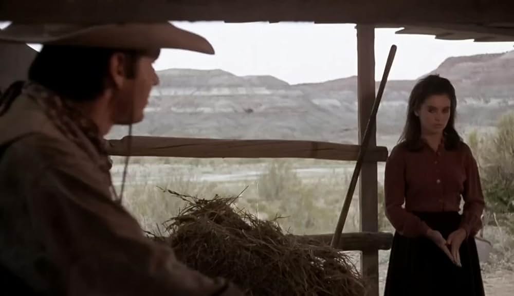 旋風の中に馬を進めろの画像