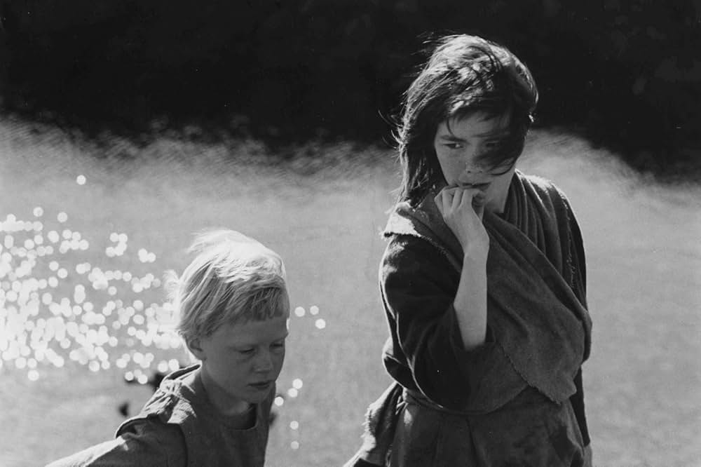 ビョークの『ネズの木』〜グリム童話よりの画像