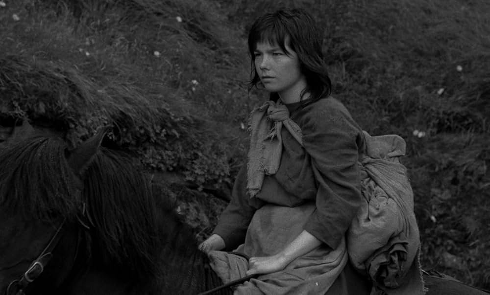 ビョークの『ネズの木』〜グリム童話よりの画像