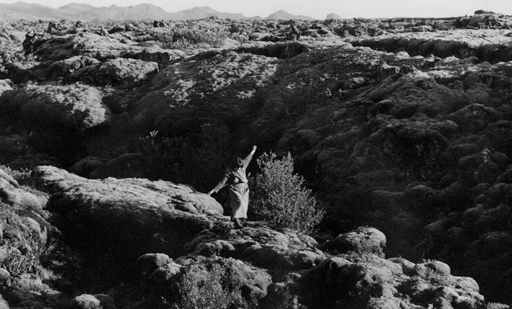 ビョークの『ネズの木』〜グリム童話よりの画像