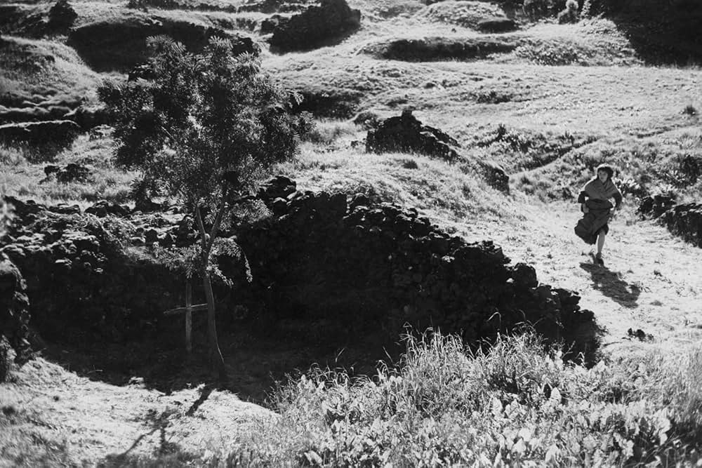 ビョークの『ネズの木』〜グリム童話よりの画像