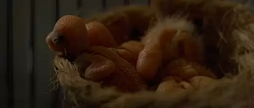 わが街 セントルイスの画像