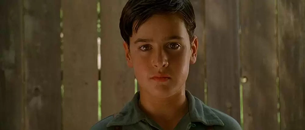 わが街 セントルイスの画像