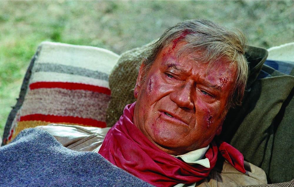 11人のカウボーイの画像