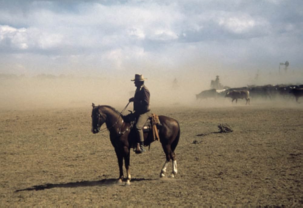 11人のカウボーイの画像