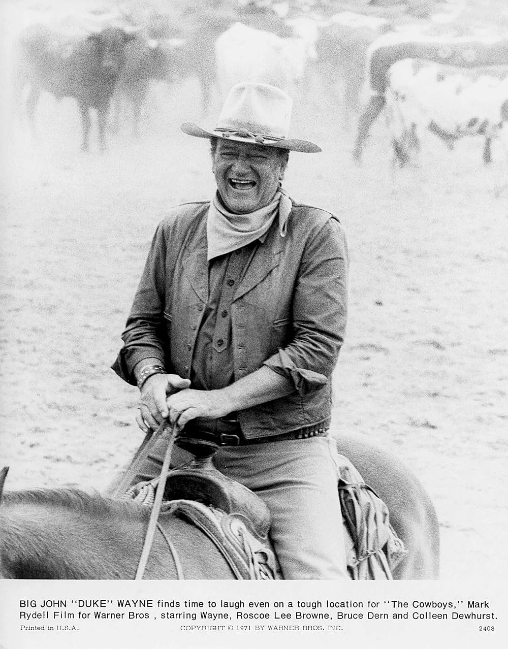 11人のカウボーイの画像