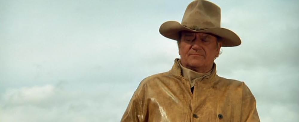 11人のカウボーイの画像