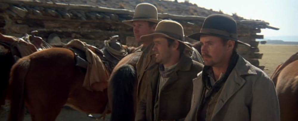 11人のカウボーイの画像