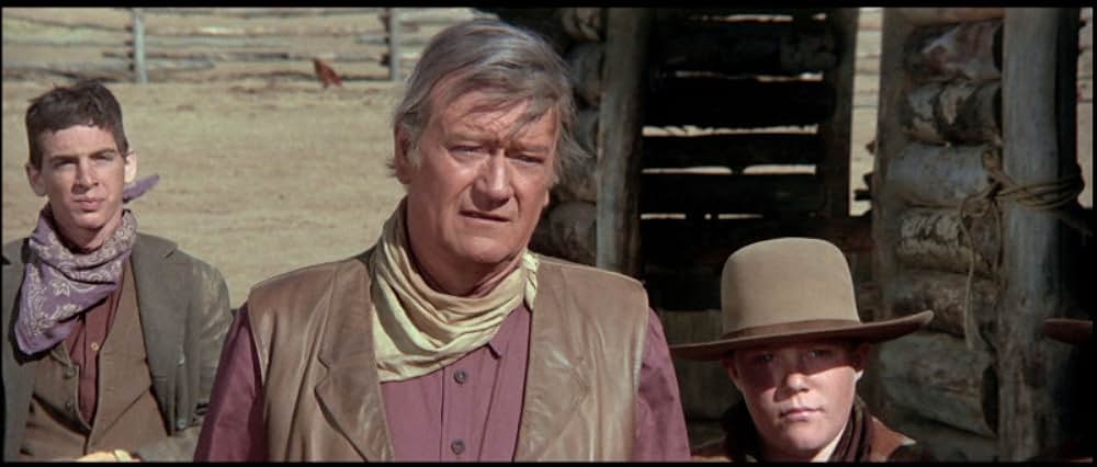 11人のカウボーイの画像