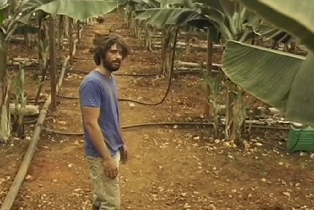 レッド・スカイの画像