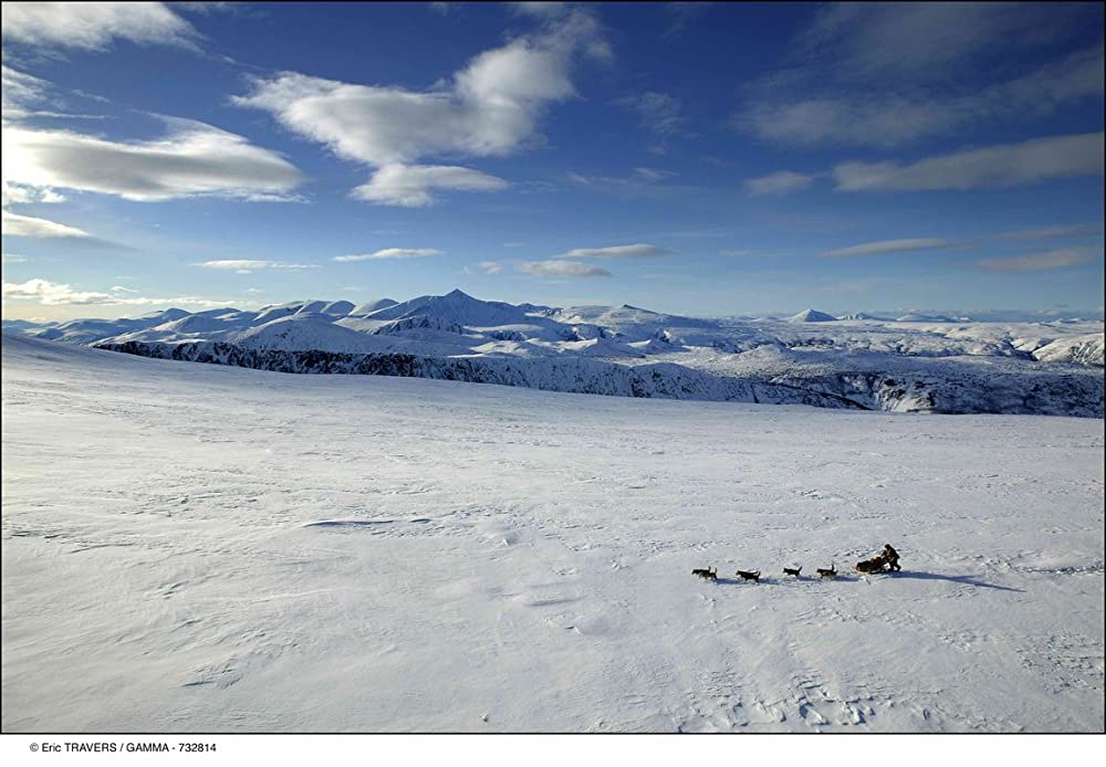 狩人と犬、最後の旅の画像