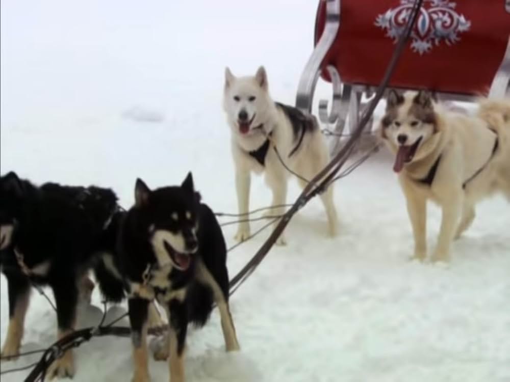 狩人と犬、最後の旅の画像