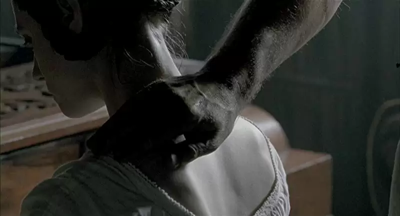 「ピアノ・レッスン」ハーベイ・カイテル & ホリー・ハンターの画像