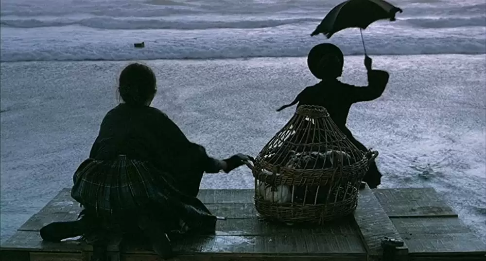 ピアノ・レッスンの画像