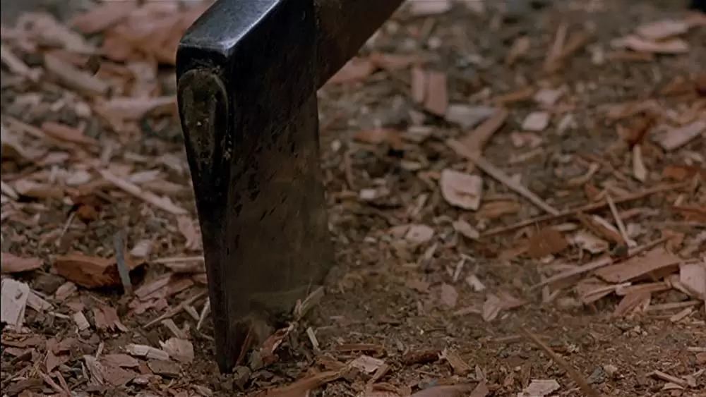 ピアノ・レッスンの画像