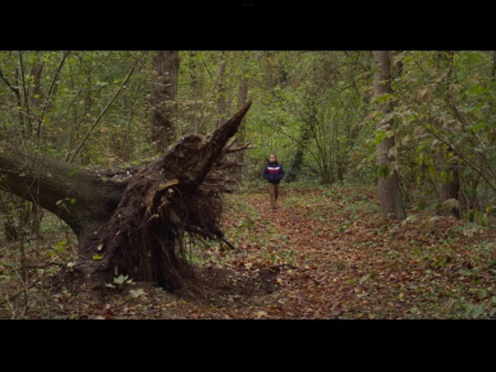 秘密の森の、その向こうの画像