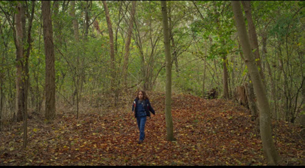 秘密の森の、その向こうの画像