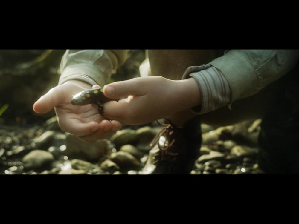 キュリー夫人 天才科学者の愛と情熱の画像