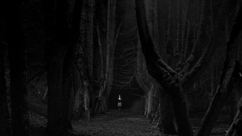 ノベンバーの画像