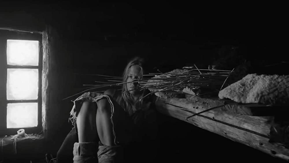 ノベンバーの画像