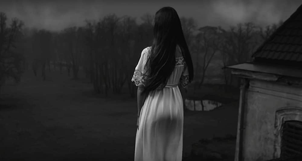 ノベンバーの画像