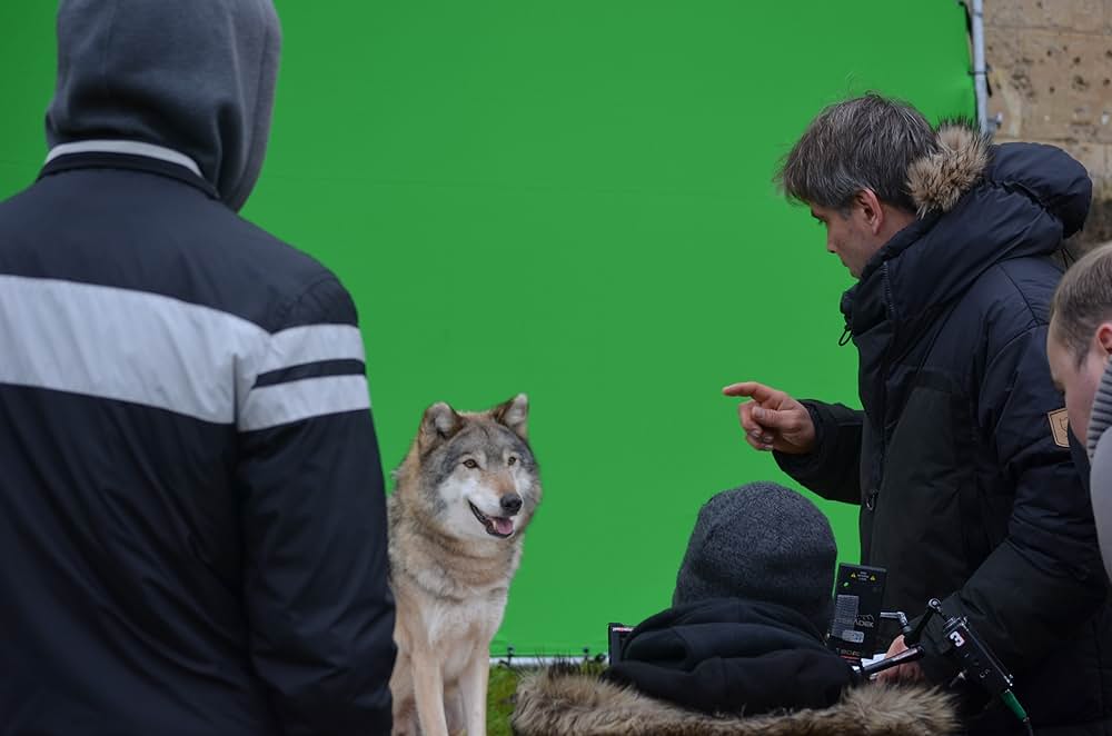 ノベンバーの画像