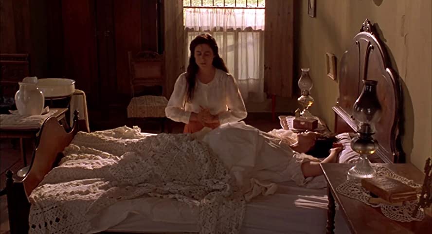 赤い薔薇ソースの伝説の画像