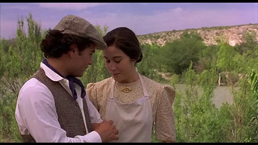 赤い薔薇ソースの伝説の画像