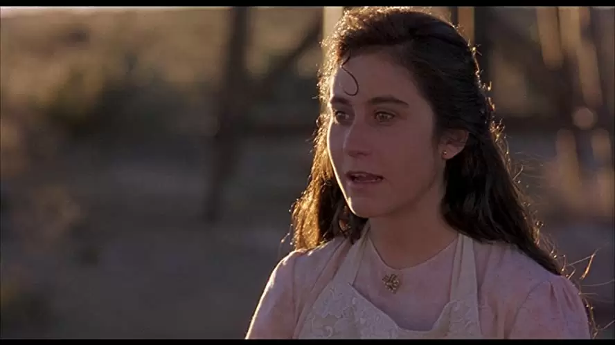 赤い薔薇ソースの伝説の画像